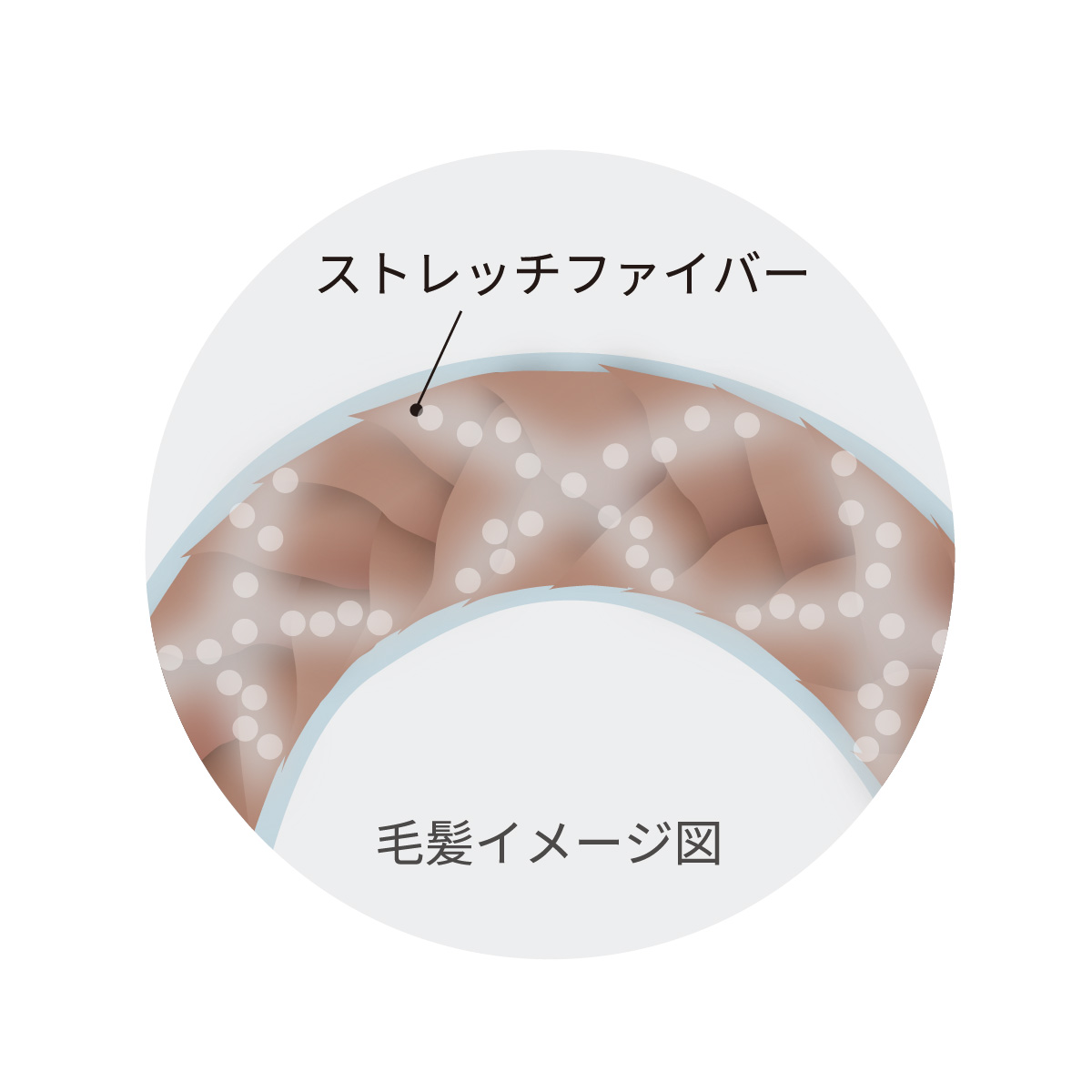 MAGNETHairPro　マグドロップ　使用後毛髪イメージ図